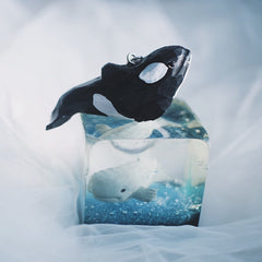 Hand-carved orca whale keychain displayed on a glass cube with a white background.